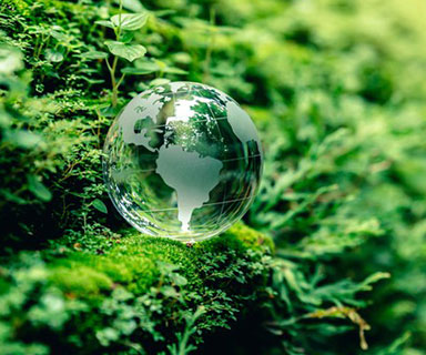 친환경·지속가능 조명 기술 개발